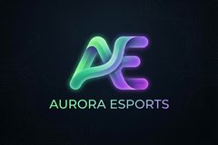 糖心合作品牌极光电竞